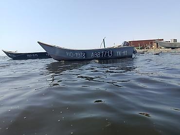 yamaha su motoru: 30 YAMAHA LOTKA - Korpus: Klassik dar-burun taxta/rezinlə örtülü — 3
