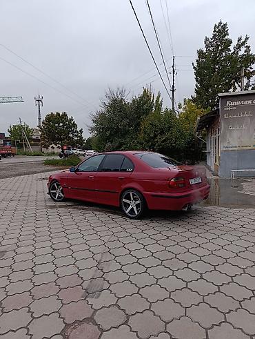 BMW: BMW 5 series: 2000 г., 2.5 л, Автомат, Бензин, Седан — 3
