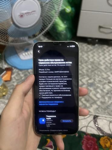 nintendo gameboy: Торг уместен IPhone 12 Pro, серебристый цвет корпуса Характеристики — 3