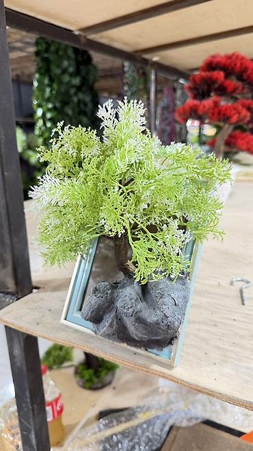 dekor dasi: Dekorativ mini “bonsai” kompozisiyası - Material: süni bitki — 1