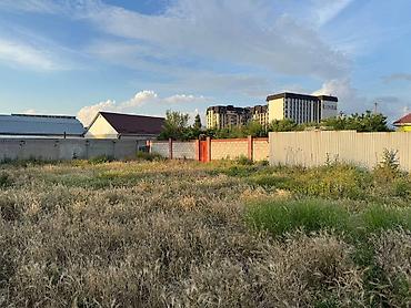 дом ош: 10 соток, Кызыл китеп — 8