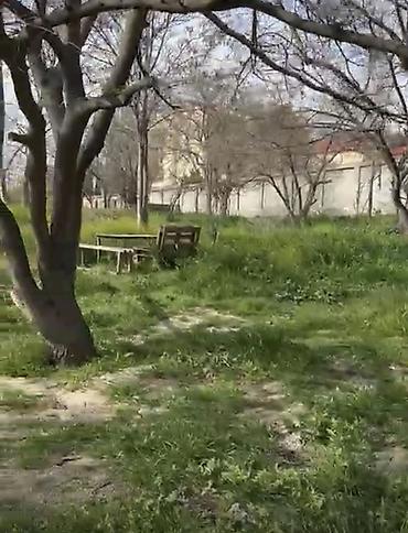 nerimanovda: 24 sot, Tikinti, Mülkiyyətçi, Kupça (Çıxarış) — 4
