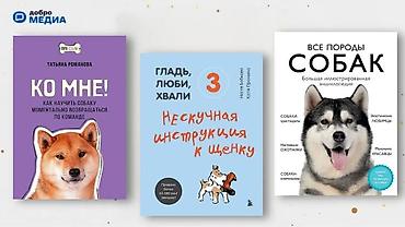 коозу: Подборка книг и журналов о животных и домашних питомцах. В комплекте — 8