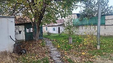 Долгосрочная аренда домов: 40 м², 2 комнаты, Парковка, Забор, огорожен — 3