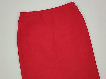 czarno biala spodnice: ALBA MODA, Spódnica damska, rozmiar XL — 1