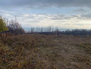 Земельные участки: 5 соток — 3