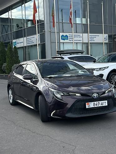levin: Toyota Corolla: 2020 г., 1.8 л, Вариатор, Гибрид, Седан — 4