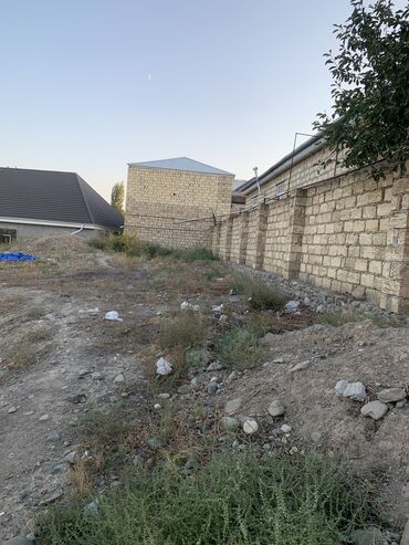 sarayda həyət evləri: 2 sot, Tikinti, Mülkiyyətçi, Kupça (Çıxarış)