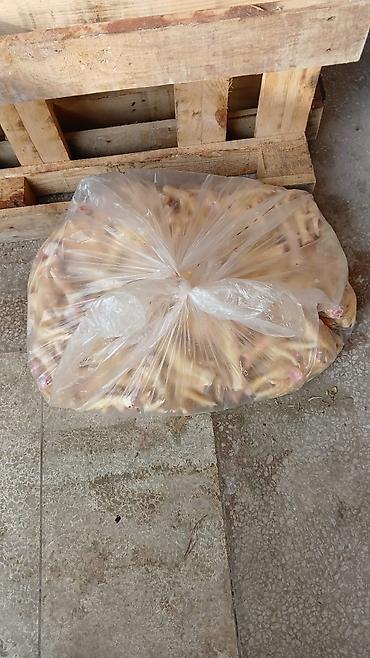20 l su: Toyuq Topdan, Pulsuz çatdırılma — 8