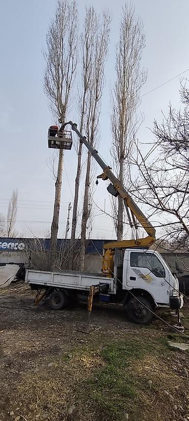 обрезка: Стрела 20 м, 250 т — 2