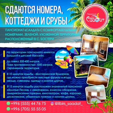 цены на иссык куль 2023: Номер, ЦО Илбирс Саадат