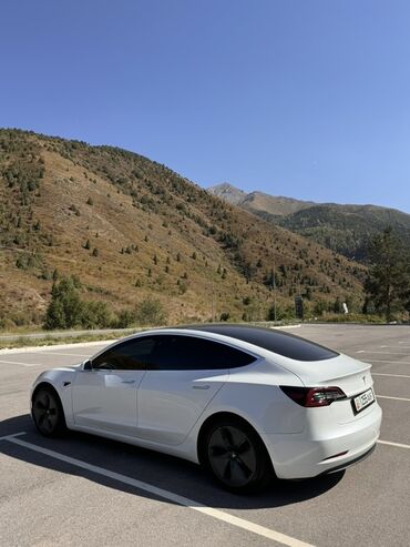 Tesla: Tesla Model 3: 2020 г., Электромобиль, Седан — 5