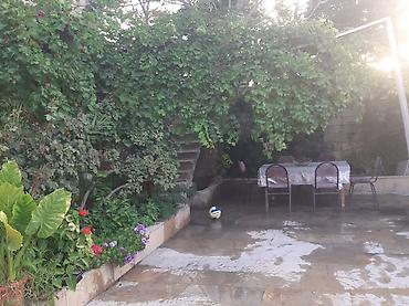 Həyət evi alıram: - Geniş, daşla döşənmiş həyət: yaşıl ağaclar, gül kolları, hasarlı — 14