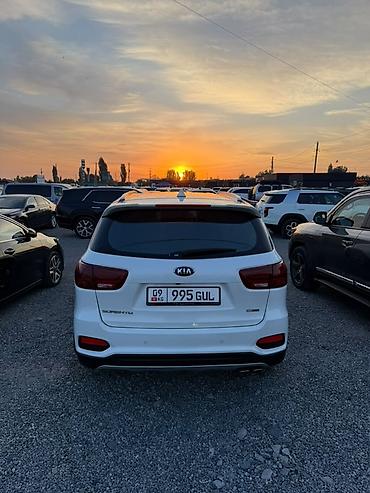 под спада боковой дверь: Kia Sorento: 2018 г., 2.2 л, Автомат, Дизель, Внедорожник — 6