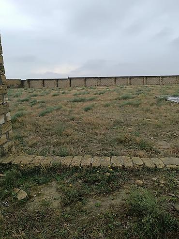 guneslide satilik bina: 10 sot, Tikinti, Mülkiyyətçi, Kupça (Çıxarış) — 1