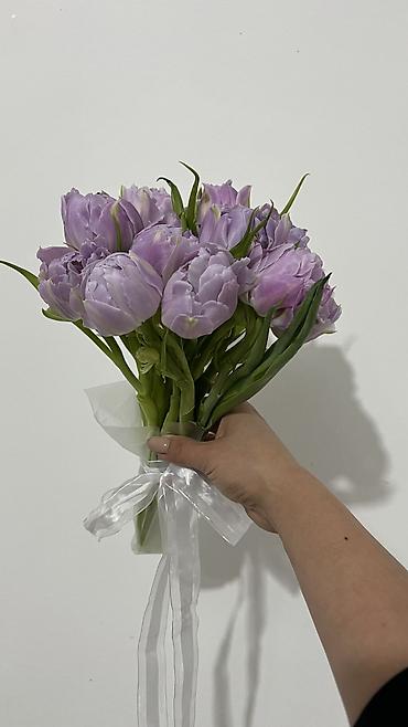 Букеты из живых цветов: Букет тюльпанов “Микс” - Состав: тюльпаны премиум-класса в яркой — 8