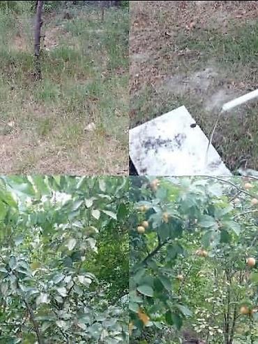 sumqayitda kreditle ev satiram: 6 sot, Mülkiyyətçi, Kupça (Çıxarış) — 1