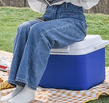 Другое для спорта и отдыха: Термо ящик Для хранения продуктов и напитков охлаждёнными Цены 5 л — 7