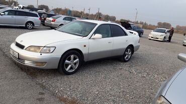 сиденья виндом: Toyota Windom: 1998 г., Автомат, Бензин, Седан