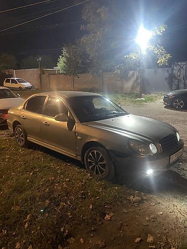 exeed rx: Hyundai Sonata: 2008 г., 2 л, Механика, Седан — 3