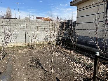 Продажа коттеджей и домов: Продаётся дом в городе Манас (Джалал-Абад), мкрн. Спутник, ул — 5