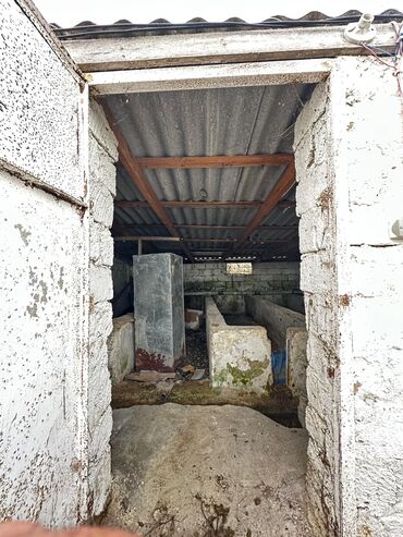 Torpaq sahələrinin satışı: 300 sot, Kənd təsərrüfatı, Mülkiyyətçi, Texniki pasport, Kupça (Çıxarış) — 23