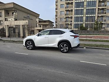 Lexus: Lexus NX: 2019 г., 2 л, Автомат, Бензин, Кроссовер — 2
