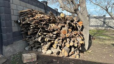 бак газовый: Отун Өзү алып кетүү