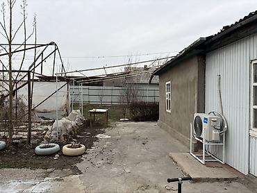 Продажа коттеджей и домов: Продается участок с домом и двором в селе Беловодское, огороженный — 12