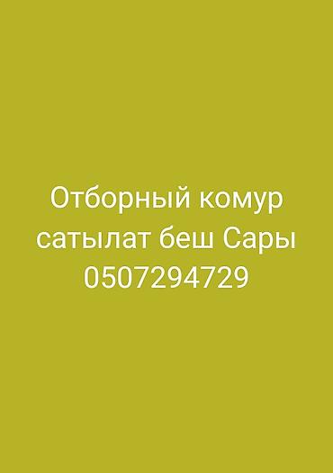 печко: Отборный уголь (комур) для отопления и бытовых нужд. - Крупная — 1