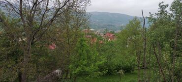 20 ci sahe kiraye evler: 19 sot, Tikinti, Mülkiyyətçi, Kupça (Çıxarış)