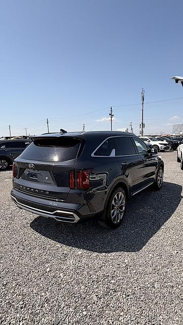 360: Kia Sorento: 2020 г., 2.2 л, Автомат, Дизель, Кроссовер — 3