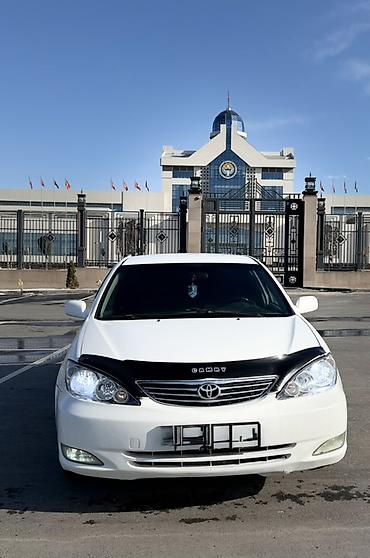 Toyota: Toyota Camry: 2004 г., 2.4 л, Автомат, Бензин, Седан — 1
