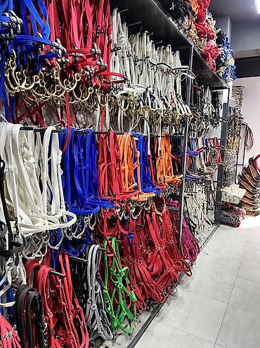 Другие животные: Ат жабдыктар — 10