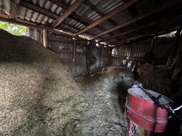 Продажа домов: Дом, 200 м², 6 комнат, Собственник — 11