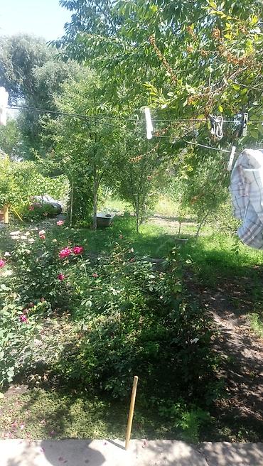 Продажа коттеджей и домов: Продаю дом в центре села Ленинского по улице Восточная 127. Участок — 3