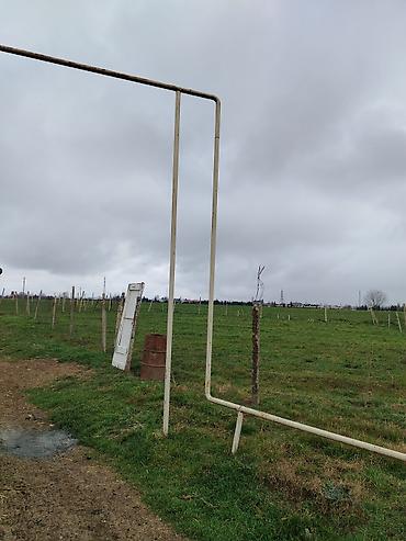 Torpaq sahələrinin satışı: 8 sot, Tikinti, Mülkiyyətçi, Kupça (Çıxarış) — 12