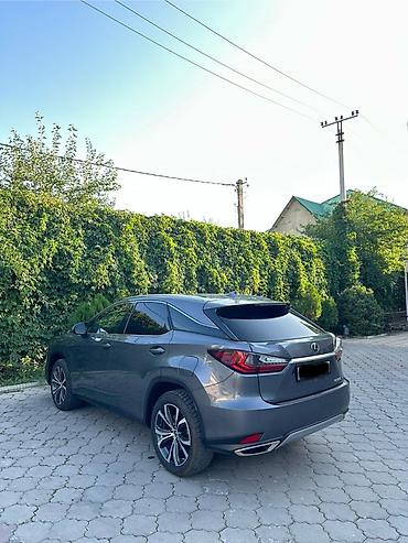 rx 2017: Lexus RX: 2022 г., 3.5 л, Автомат, Бензин, Кроссовер — 5