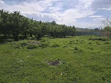 ev elanlari 2022: Qusar, 72 kv. m, 3 otaqlı, Hovuzsuz, İnternet, Qaz, İşıq — 5