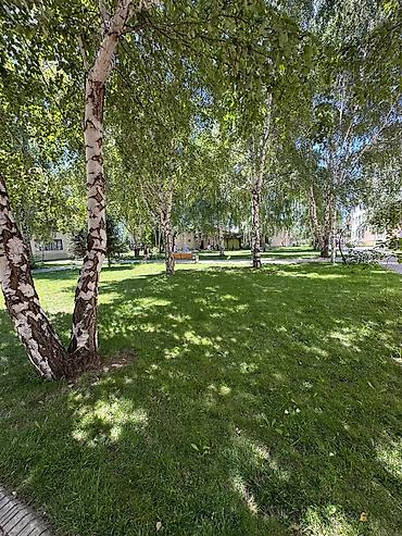 ысык кол: Ысык-Көлдө мейманкана, Asia Pala, Asia Palace, Сары-Ой, 9 орун, Күнүмдүк — 3