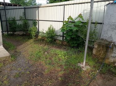 Bağ evlərinin kirayəsi: 40 kv. m, 2 otaqlı, Hovuzsuz, Kanalizasiya, İşıq, Qaz — 29