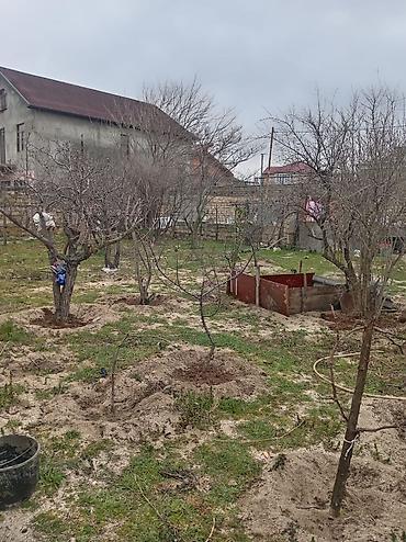 10 sot: 4 sot, Tikinti, Makler, Kupça (Çıxarış) — 1