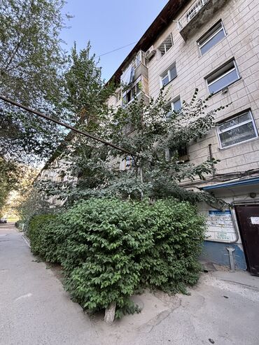 боконбаева дзержинка: 2 бөлмө, 53 кв. м, Жеке план, 4 кабат, Косметикалык ремонт