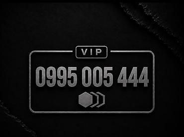 корпоративная симка: 📱 0995 005 444 💎 VIP номер MegaCom ✔️ Красивое сочетание цифр ✔️ — 1