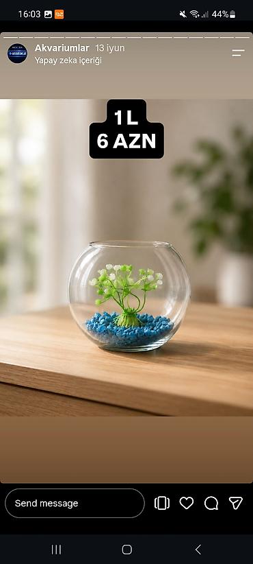 akvarium balıqlar: Yumru akvarium, Boş, 1 l — 10