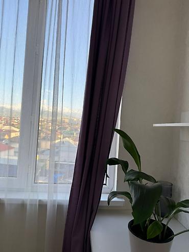 125: 1 комната, 45 м², Кок-Жар ж/м 108 серия, 7 этаж, Евроремонт — 6