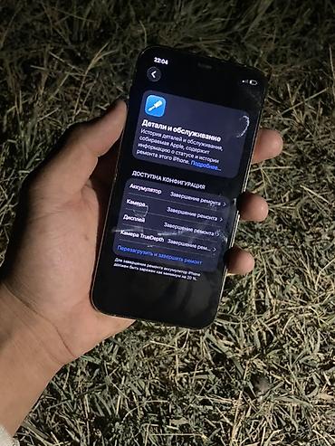 принтер цветной 3 в 1: IPhone 12 Pro, модель MGMP3KN/A (согласно скриншоту “Об этом — 5