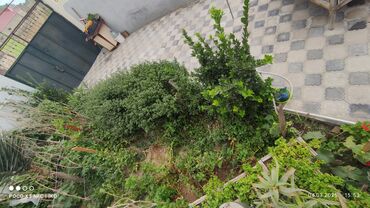 Həyət evləri və villaların satışı: Binə 3 otaqlı, 95 kv. m — 7