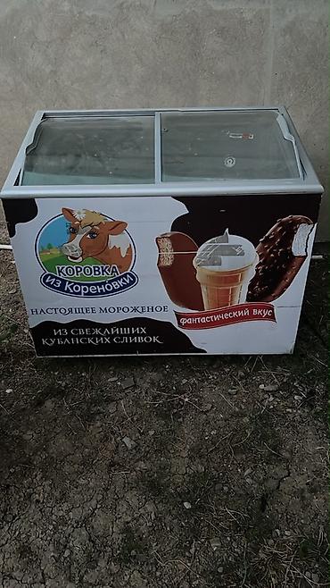 Soyuducu avadanlığı: Dondurma vitrini / sandıq tipli soyuducu pub bağlandığı üçün satılır — 1