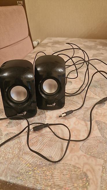 Genius kompüter akustik sistemi – 2.0 stereo masaüstü dinamiklər -